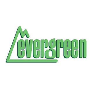 Evergreen 500056 Tischdisplay bestckt. Mae: 30x38x114 cm