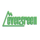 Evergreen 504031 Bretter-Verschalung, 1x150x300mm, Raster...