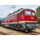 Piko 52761 Spur H0 Diesellok 132 063-9 Wechselstromversion