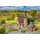 * Faller 239004 Aktions-Set Dorf  Spur H0