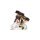 Minichamps 312970246 Figur Valentino Rossi- 1ST World Championships GP 125 Brno 1997 Massstab: 1:12