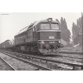 Piko 52802 Spur  H0 Sound-Diesellok BR V 200, inkl. PIKO Sound-Decoder