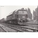 Piko 52803 Spur  H0 Sound-Diesellok BR V 200,...