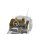 DRAGON 500776714 Maßstab: 1:35 Armored 1/4 TON 4x4 Truc