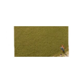 Auhagen 75614 Grasfasern oliv 4,5 mm, 50g