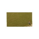 Auhagen 75614 Grasfasern oliv 4,5 mm, 50g