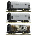 Fleischmann 837932 3-tlg.Set Schiebeplw.Captrain