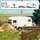 Busch 6050 Dauercamper Spur H0