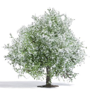 Busch 3651 Apfelbaum 75mm, blühend  H0 Spur