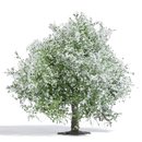 Busch 3651 Apfelbaum 75mm, blühend  H0 Spur