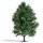 Busch 3742 Espe 150 mm, Sommer H0 Spur