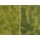 Noch 07471 Natur+  Riedwiese  Spur G, H0, TT, N, Z