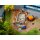 Faller 180344 Baumaschinen-Set  Spur H0