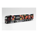 Herpa 313896 Renault T...