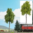 Busch 3791 Platane 170 mm, Frühling  Spur H0