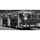 *Premium ClassiXXs PCL 47152 Ikarus 260.06,...