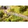 Noch 13172 Gartenmauer  Spur H0
