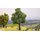 Noch 21769 micro motion Baum mit Schaukel  Spur N