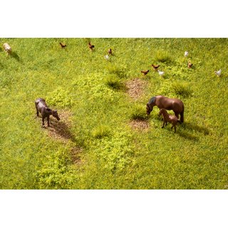 Noch 60771 Vegetations Startset, Wiese
