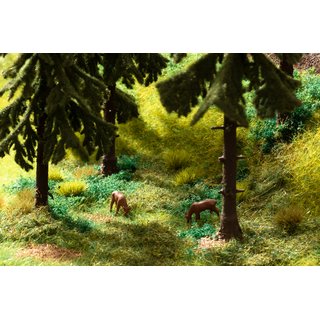 Noch 60772 Vegetations-Startset Im Wald