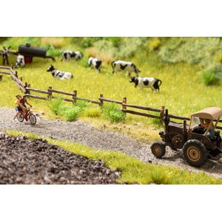 Noch 60773 Vegetations-Startset Am Wegesrand
