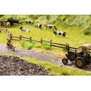 Noch 60773 Vegetations-Startset Am Wegesrand