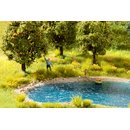 Noch 60774 Vegetations-Startset  Am Ufer
