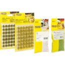Noch 60774 Vegetations-Startset  Am Ufer