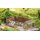 Noch 66805 Laser-Cut Deko-Set, Im Garten  Spur H0