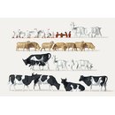 Merten 0212584 Tiere auf dem Bauernhof. 30 Figuren  Spur H0