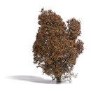Busch 3590 Filigranbusch, Herbst Spur H0/TT/N