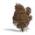 Busch 3590 Filigranbusch, Herbst Spur H0/TT/N