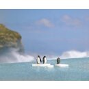 Busch 7923 A-Set: Pinguine auf Eisscholle Spur H0