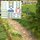 Busch 1277 Waldblumen NATUR PUR Spur H0