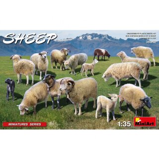 MiniArt 550038042 Maßstab: 1:35 Schafe (15)
