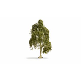 Noch 20120 Hängebirke, 18 cm hoch  H0, TT, N, Z