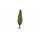 Noch 20130 Pappel, 18 cm hoch  H0, TT, N, Z