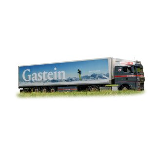 Herpa 954822 MAN TGX GM Kühlkoffer-Sattelzug, Herzer/Gastein Maßstab: 1:87