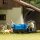 Busch 79828 A-Set: Gartenbahn  Spur H0