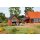 Auhagen  11474 Fischerhaus  Spur H0