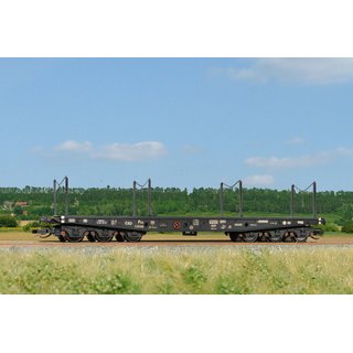 SDV 12132 Schwerlastwagen Sammp/Pxx 10 CSD  Spur TT
