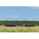 SDV 12132 Schwerlastwagen Sammp/Pxx 10 CSD  Spur TT