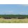 SDV 12132 Schwerlastwagen Sammp/Pxx 10 CSD  Spur TT