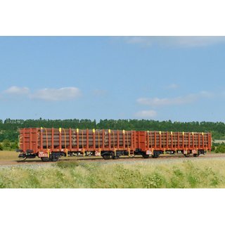 SDV 12136 Rungenwagen-Einheit Laaps-y 12 CDC  Spur TT