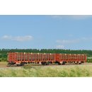 SDV 12136 Rungenwagen-Einheit Laaps-y 12 CDC  Spur TT