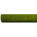 Noch 00010 Großf.Frühling
