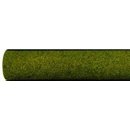 Noch 00011 Blumenwiese 200x100