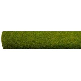 Noch 00290 Frühling