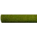 Noch 00300 Grasm Frühlingswiese 240x120
