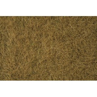 Noch 07101 Wildgras, beige
